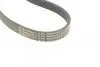 Ремень генератора Ford Focus 1.4/1.6i 03-/Volvo C30/S40/V50 1.6 05-12 (6PK1059 ELAST+5PK868 ELAST) Contitech 6PK1059 ELAST T2 (фото 7)