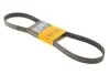 Ремень генератора Citroen C3/C4/Peugeot 307 1.4-1.6HDi 02- Contitech 6PK1090 ELAST (фото 1)