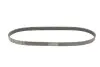 Ремень генератора Citroen C3/C4/Peugeot 307 1.4-1.6HDi 02- Contitech 6PK1090 ELAST (фото 2)