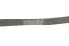 Ремень генератора Citroen C3/C4/Peugeot 307 1.4-1.6HDi 02- Contitech 6PK1090 ELAST (фото 5)