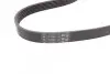 Ремень генератора Skoda Octavia/VW Golf 1.6-2.0/1.9TDI 97-13/Passat B6/B7 1.8-2.0TSI/T5 1.9TDI 03-15 Contitech 6PK1120 (фото 3)
