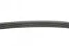 Ремень генератора VW Caddy/T5 1.9TDI/2.0SDI 04-10/Renault Laguna/Megane/Trafic 1.9dTi/dCi 96-01 Contitech 6PK1138 (фото 2)