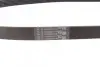 Ремень генератора Renault Master 2.2/2.5dCi 00-/Peugeot 306/405 1.8/1.9D 93-01/Ford Fiesta 1.8 00-02 Contitech 6PK1145 (фото 2)