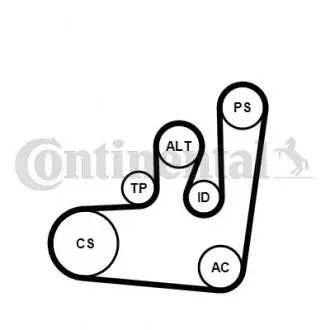 Комплект (ремінь+ролики+насос) Contitech 6PK1145 WP1