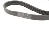 Комплект ременя генератора BMW 5 (G30/F90)/7 (G11/G12) 3.0 d (B57) 15-20 (6PK1153) Contitech 6PK1153K5 (фото 3)