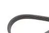 Комплект ременя генератора BMW 5 (G30/F90)/7 (G11/G12) 3.0 d (B57) 15-20 (6PK1153) Contitech 6PK1153K5 (фото 4)