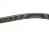 Ремінь генератора Renault Laguna 2.0 95-01/Audi A3 3.2 03-09/Ford Kuga 2.0TDCi 13- Contitech 6PK1240 (фото 2)