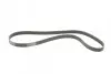 Ремінь генератора Renault Laguna 2.0 95-01/Audi A3 3.2 03-09/Ford Kuga 2.0TDCi 13- Contitech 6PK1240 (фото 5)