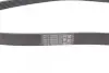 Ремень генератора Ford Focus 1.8/2.0 04-12 Contitech 6PK1240 ELAST (фото 2)