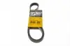 Ремень генератора Ford Focus 1.8/2.0 04-12 (6PK1249) Contitech 6PK1249 ELAST (фото 1)