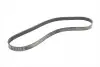 Ремень генератора Ford Focus 1.8/2.0 04-12 (6PK1249) Contitech 6PK1249 ELAST (фото 5)