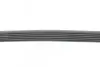 Ремень генератора VW T5/Golf 2.3-3.2 V6 03-09/Audi A4/A6/Q5 2.0TDI 08-17 Contitech 6PK1264 (фото 2)
