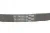 Ремень генератора VW T5/Golf 2.3-3.2 V6 03-09/Audi A4/A6/Q5 2.0TDI 08-17 Contitech 6PK1264 (фото 3)