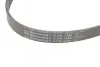 Ремень генератора VW T5/Golf 2.3-3.2 V6 03-09/Audi A4/A6/Q5 2.0TDI 08-17 Contitech 6PK1264 (фото 4)