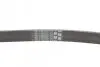 Ремінь генератора Ford Focus/Mondeo 2.0TDCi 14-/Fiat Bravo/Stilo 1.8/1.9D 07- Contitech 6PK1270 (фото 3)