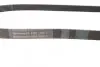 Ремень генератора Fiat Scudo 1.6D Multijet 07-/Ford Focus 1.8CDTi 04-12/Opel Corsa D/E 1.3CDTi 06- Contitech 6PK1360 (фото 2)