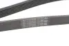Пас поліклиновий Contitech 6PK1401 EXTRA (фото 5)