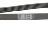 Ремень генератора Citroen Berlingo/Jumpy/Fiat Scudo/Peugeot Partner 1.9D 98-/Hyundai Accent 02-05 Contitech 6PK1440 (фото 3)
