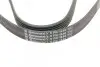 Ремень генератора Citroen Berlingo/Jumpy/Fiat Scudo/Peugeot Partner 1.9D 98-/Hyundai Accent 02-05 Contitech 6PK1440 (фото 4)