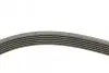 Комплект ременя генератора Citroen Berlingo/Jumpy/Fiat Scudo/Peugeot Partner/306/Expert 1.9D 98-15 Contitech 6PK1440 K1 (фото 2)