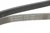 Ремінь генератора Ford Fiesta/Ka 1.3i 95-08 Contitech 6PK1448 (фото 4)