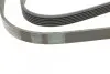 Ремінь генератора BMW 3 (E36) 3.0/3.2 94-99/Mitsubishi Pajero Sport 2.5 DI-D 4WD 08- Contitech 6PK1515 (фото 3)