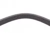 Ремінь генератора Ford Focus 1.8 TDCi 05-12/Skoda Octavia/VW Lupo/Seat Arosa 1.4 i 99-01 Contitech 6PK1520 (фото 3)