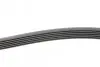Ремінь генератора Opel Astra F/Corsa B/Vectra B 1.4-1.8 94-03/Ford Escort/Fiesta 1.6/1.8 92-95 Contitech 6PK1530 (фото 2)