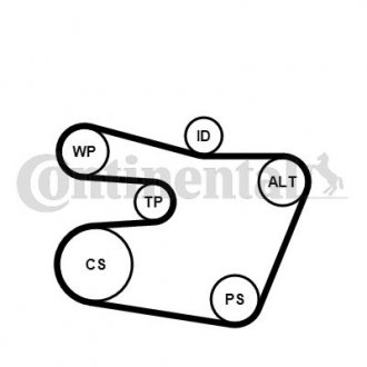 Комплект (ремень+ролики+насос) Contitech 6PK1538 WP1