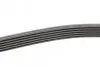 Ремінь генератора VW T5/Amarok 2.0TDI 09-/Ford Focus/Kuga/Galaxy 98-/Opel Astra J/Insignia A 1.6 08- Contitech 6PK1555 (фото 2)
