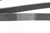 Ремінь генератора VW T5/Amarok 2.0TDI 09-/Ford Focus/Kuga/Galaxy 98-/Opel Astra J/Insignia A 1.6 08- Contitech 6PK1555 (фото 3)