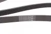 Ремінь генератора Citroen Berlingo 1.6 00-08/ Nemo 1.4i 08- Contitech 6PK1560 (фото 3)