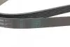 Ремень генератора Opel Combo/Astra G 1.7DTi 01-/VW T4 2.0 90-03/Ford Mondeo 2.5 94-00 Contitech 6PK1590 (фото 3)