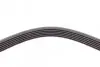 Ремень генератора VW Crafter 2.0TDI 11-16/Opel Corsa D 1.7CDTI 06-11/Ford Fiesta 1.8DI 00-03 Contitech 6PK1613 (фото 3)