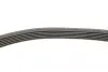 Комплект ременя генератора VW Crafter 2.0TDI 11-16 (6PK1613) Contitech 6PK1613K1 (фото 2)