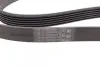 Ремень генератора Opel Astra 1.7CDTI 04-10/ Subaru Tribeca 3.0-3.6 05-/ VW Passat 3.2 05-10 Contitech 6PK1623 (фото 2)