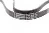 Ремень генератора VW LT 2.8TDI 97-06/Ford Transit 2.2TDCi 11-14/Citroen Jumper 2.2HDi 11- Contitech 6PK1642 (фото 3)