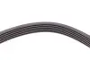 Ремень генератора VW LT 2.8TDI 97-06/Ford Transit 2.2TDCi 11-14/Citroen Jumper 2.2HDi 11- Contitech 6PK1642 (фото 4)