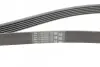 Ремень генератора Fiat Scudo/Citroen Berlingo/VW Golf Contitech 6PK1660 (фото 3)