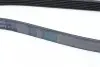 Ремень генератора Toyota Corolla 1.4/1.6 02-06/Ford Escort 1.6/1.8 92-99/Audi A6/100 2.6-2.8 91-97 Contitech 6PK1675 (фото 3)