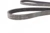 Ремень генератора VW LT 2.8TDI 01-06/Volvo 850/S70/S80/V70 2.5TDI 95-06/Opel Astra/Insignia 1.6 12- Contitech 6PK1685 (фото 2)