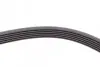 Ремень генератора VW LT 2.8TDI 01-06/Volvo 850/S70/S80/V70 2.5TDI 95-06/Opel Astra/Insignia 1.6 12- Contitech 6PK1685 (фото 3)