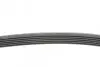 Ремень генератора Citroen Jumper 1.9TD 94-02 (ALT,PS,AC) Contitech 6PK1705 (фото 2)