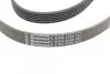 Ремень генератора Citroen Jumper 1.9TD 94-02 (ALT,PS,AC) Contitech 6PK1705 (фото 3)