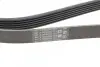 Ремень генератора Citroen Jumper 1.9TD 94-02 (ALT,PS,AC) Contitech 6PK1705 (фото 4)