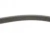 Ремень генератора Opel Astra J/Corsa D 1.7CDTI 09-15/Ford Focus 1.8TDCi 98-04 Contitech 6PK1715 (фото 2)