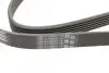 Ремень генератора Opel Astra J/Corsa D 1.7CDTI 09-15/Ford Focus 1.8TDCi 98-04 Contitech 6PK1715 (фото 3)