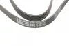 Ремень генератора Opel Astra J/Corsa D 1.7CDTI 09-15/Ford Focus 1.8TDCi 98-04 Contitech 6PK1715 (фото 4)