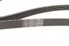 Ремень генератора VW Golf IV/Passat 1.4/1.6FSI 03-16/Toyota Auris/Avensis 1.4-1.8 03-12 Contitech 6PK1733 (фото 2)