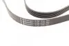 Ремень генератора VW Golf IV/Passat 1.4/1.6FSI 03-16/Toyota Auris/Avensis 1.4-1.8 03-12 Contitech 6PK1733 (фото 3)